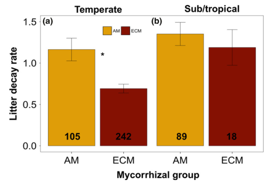 文獻(xiàn)解讀|在溫帶而非熱帶森林中，不同菌根群的凋落葉腐爛率不同